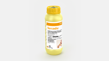Sercadis